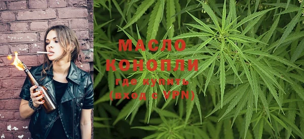 тгк Михайлов