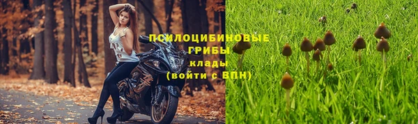 apvp Навашино